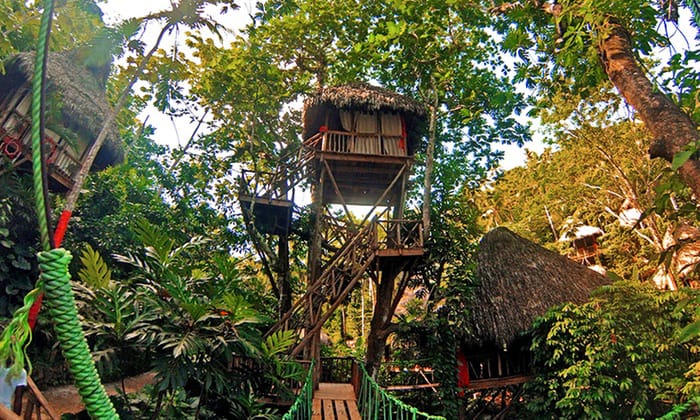 Dominican Republic Treehouse Adventure in the Carribean