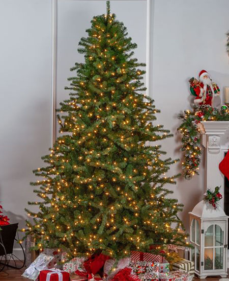 Christmas Trees from Pottery Barn