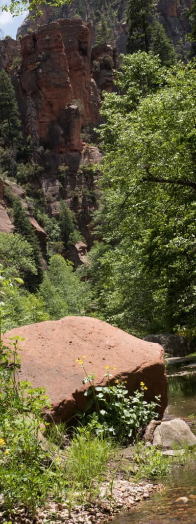 Sedona Hiking West Fork Trail – Earth Gear